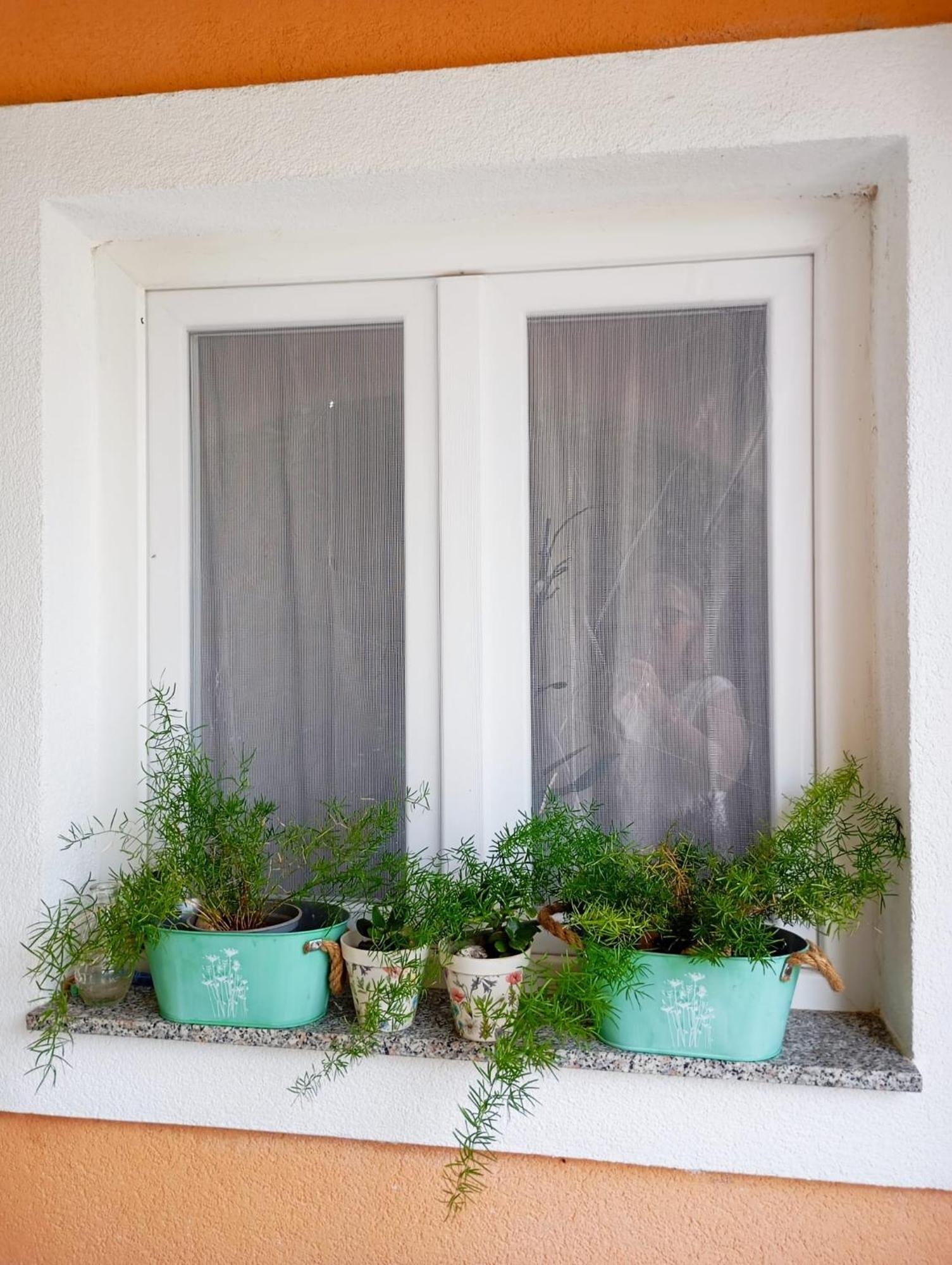 Apartmani Joja Biograd Na Moru Exterior foto