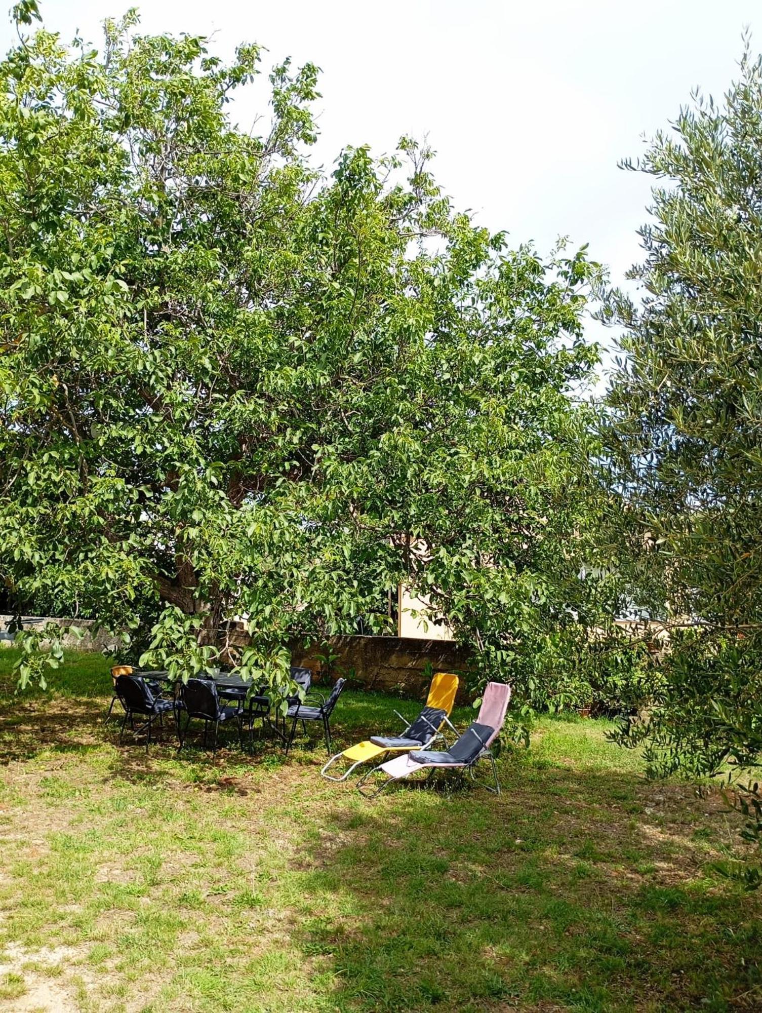 Apartmani Joja Biograd Na Moru Exterior foto
